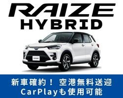 ライズ ハイブリッド