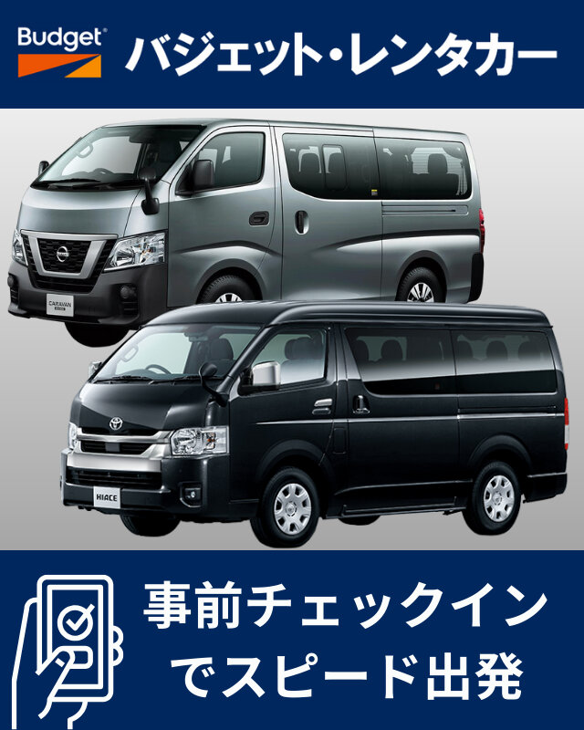 ハイエースワゴン　他　（車種指定不可）