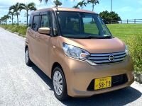 デイズルークス