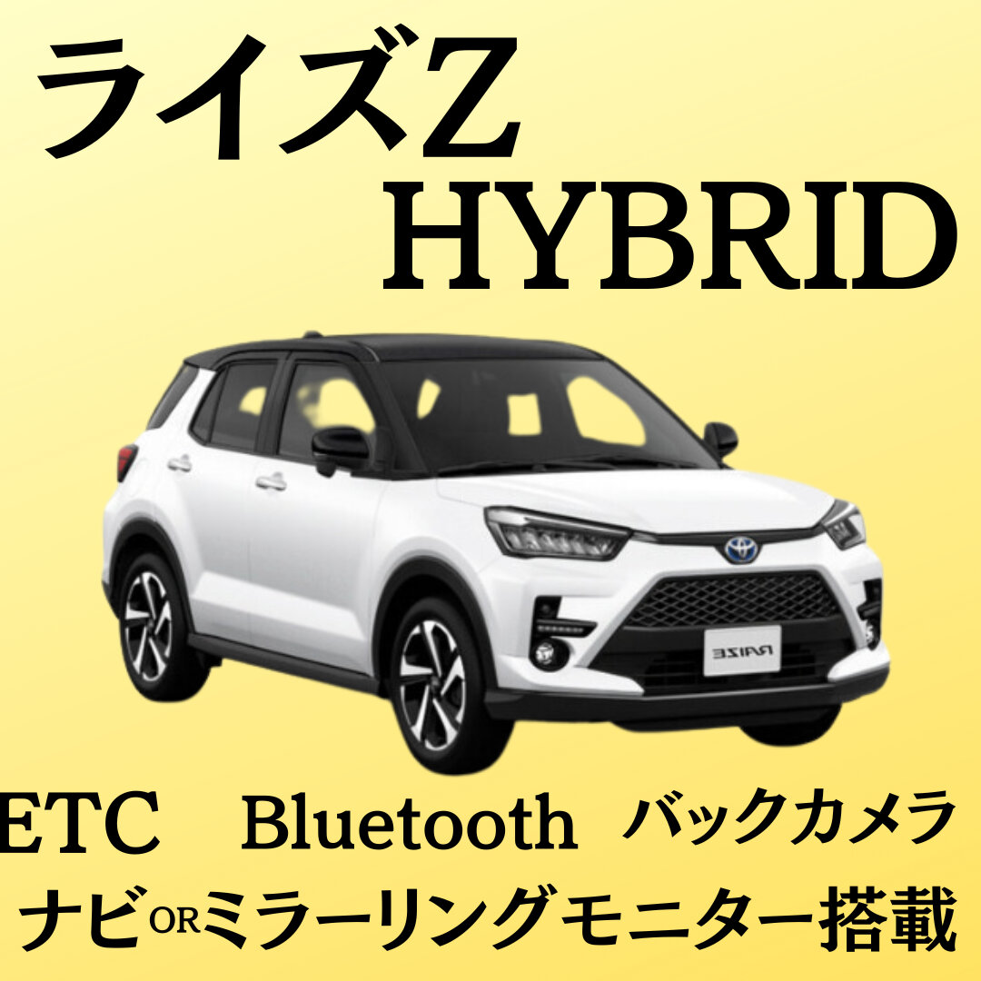 ライズℤ(HYBRID)
